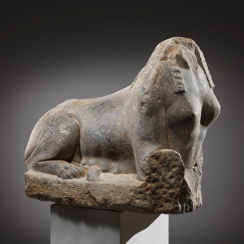 A Recumbent Sphinx